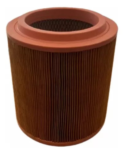 Filtro de Aire MANN-FILTER C 19 175