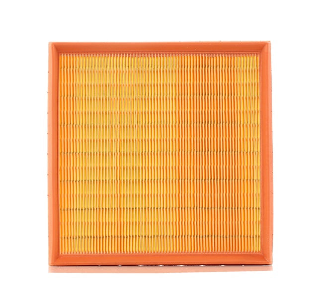 Filtro de Aire MANN-FILTER C 2493